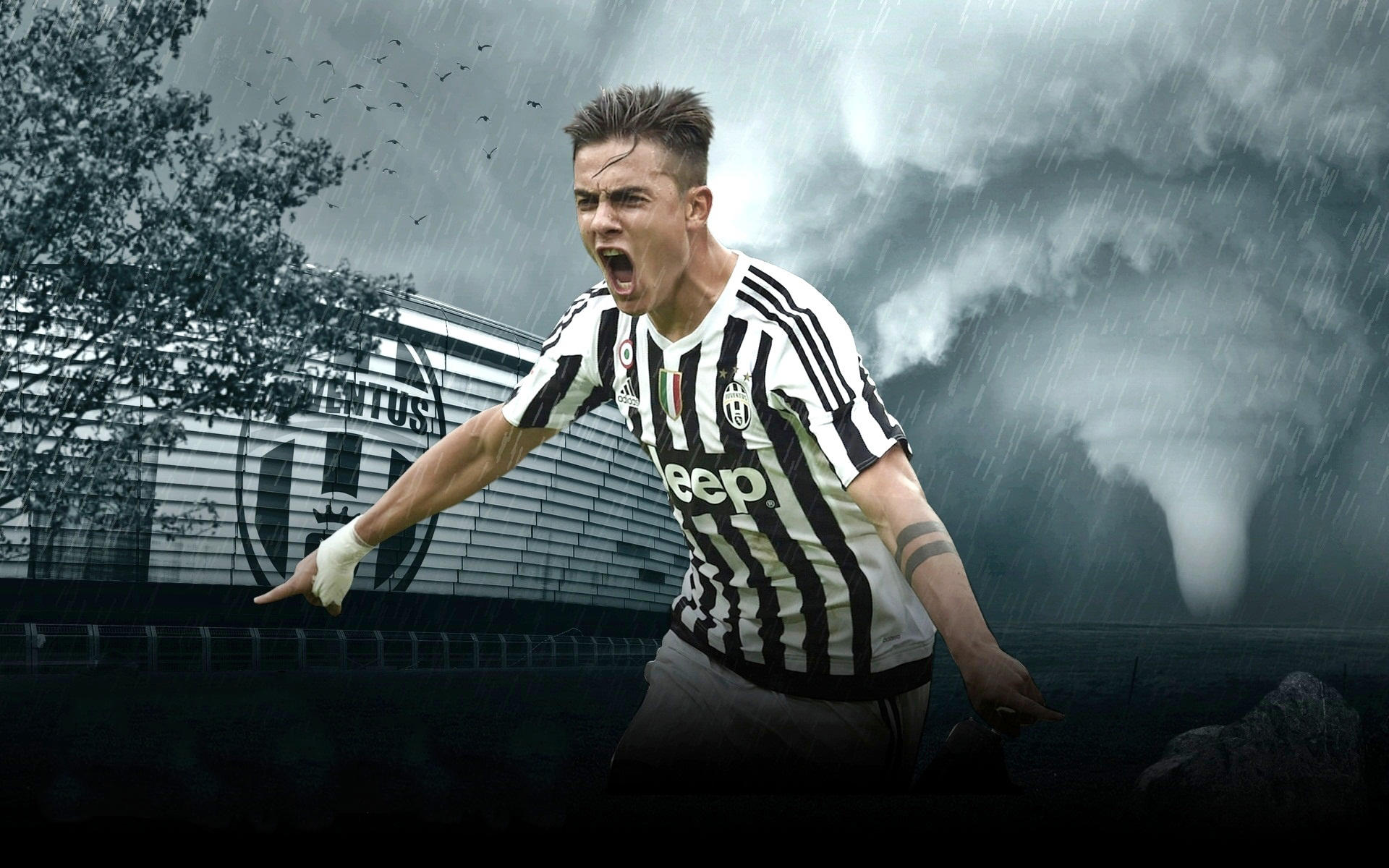 王楚钦苦战3局，1-2不敌弗朗西斯卡！国乒暂时6-3领先德国队