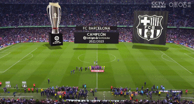 这身体对抗太硬了